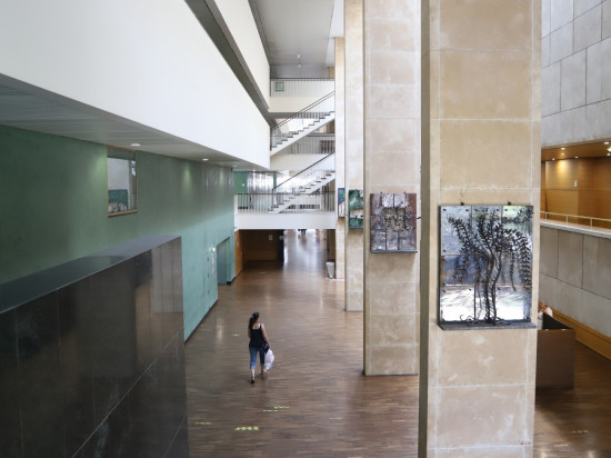 Lyon : elle s’évanouit en manipulant des scellés au tribunal