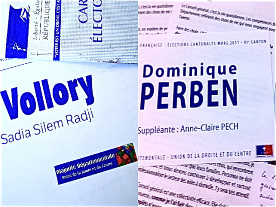 Vers un contentieux électoral sur les cantons de Lyon VI et Lyon XI ?