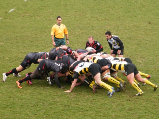 La reprise a sonné pour le LOU Rugby