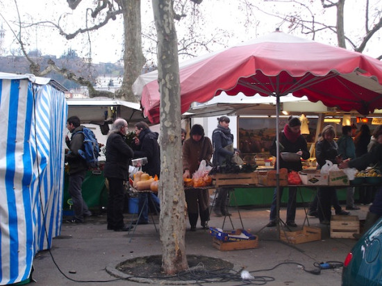 Le concombre tueur effraie-t-il Lyon ?