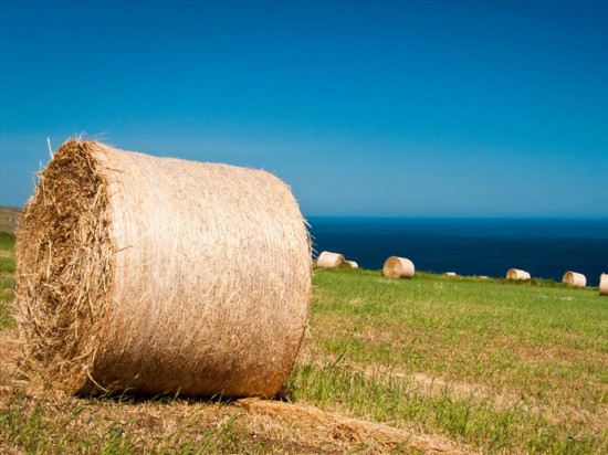 Fillette tuée par une meule de foin près de Lyon : du sursis pour l’agriculteur Fillette tuée par une meule de foin près de Lyon : du sursis pour l’agriculteur