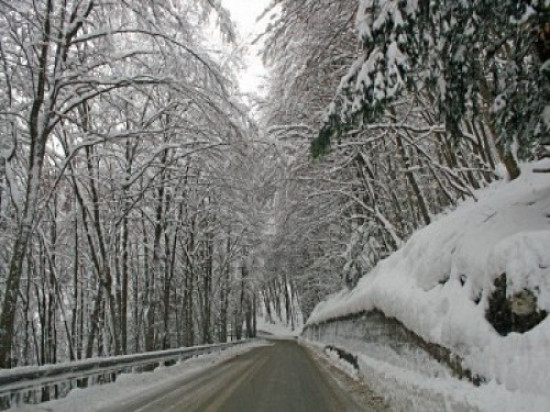 Une famille de Caluirards sauvée par de mystérieux anges gardiens