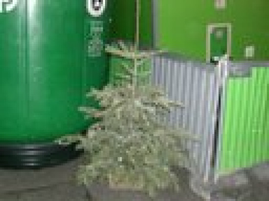 Dernier jour pour recycler votre sapin de No&euml;l