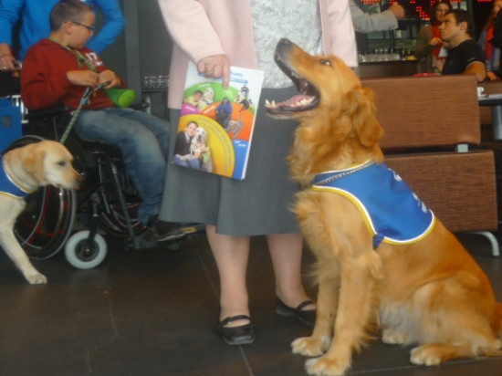 Handi'chiens f&ecirc;te ses 11 ans en musique &agrave; Lyon