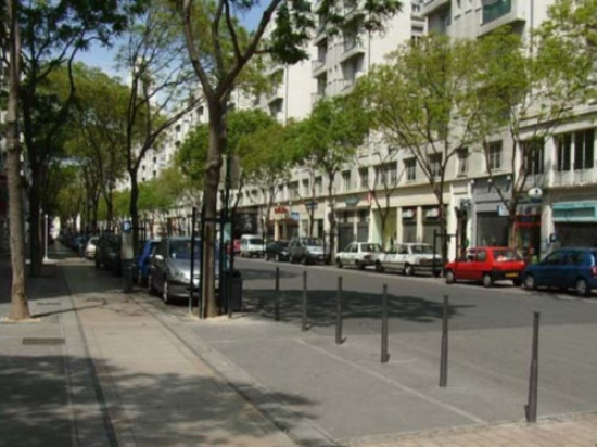 L&rsquo;avenue Henri-Barbusse de Villeurbanne pi&eacute;tonne