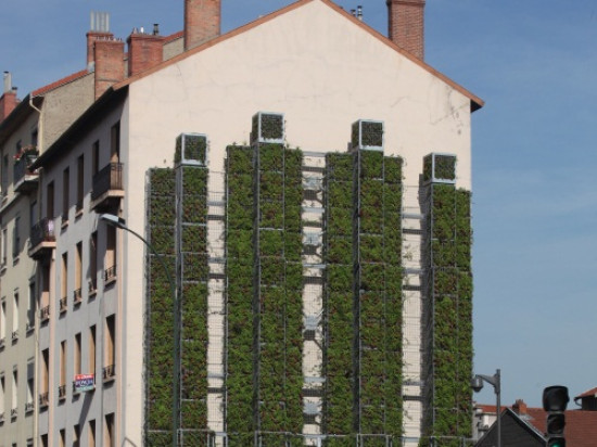 La Ville de Villeurbanne lance une enqu&ecirc;te aupr&egrave;s des habitants sur le th&egrave;me de l'environnement et la sant&eacute;