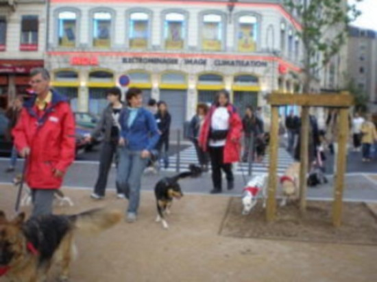 Le Grand Lyon f&ecirc;te mercredi soir sa 600e balade canine urbaine