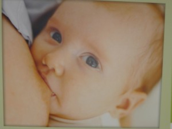 Le bébé s'expose à Villeurbanne Le bébé s'expose à Villeurbanne