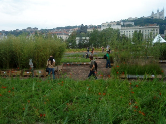 Les Lyonnais peuvent r&eacute;cup&eacute;rer un morceau de nature