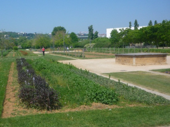 Lyon f&ecirc;te les jardins