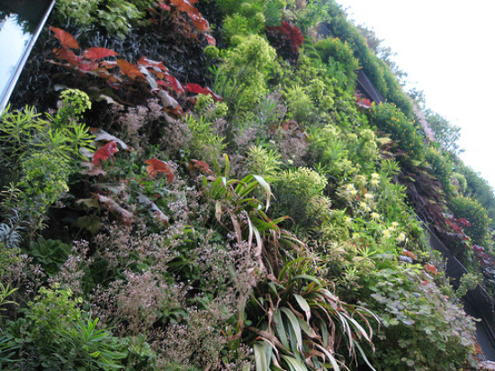 Prolongation pour l’exposition " les cités végétales" à la Sucrière