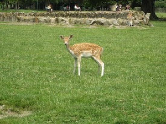 Rhône: portes ouvertes dans les fermes