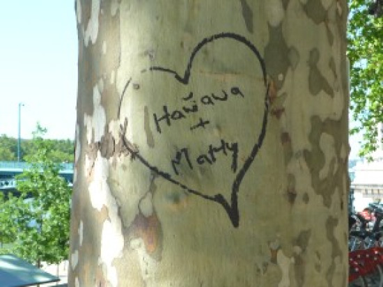 La ville de Lyon pr&eacute;pare la St Valentin