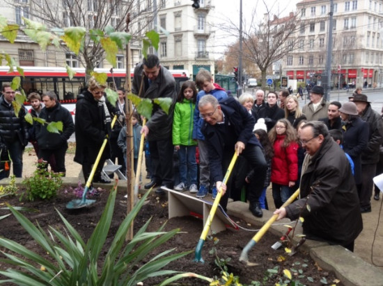 Une bouture du marronnier d'Anne Frank a été plantée à Lyon Une bouture du marronnier d'Anne Frank a été plantée à Lyon