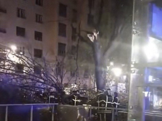 Lyon : un blessé après la chute d’un arbre place Jean Macé