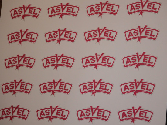 L’ASVEL Féminin affronte ASO Mondeville au Palais des Sports de Gerland