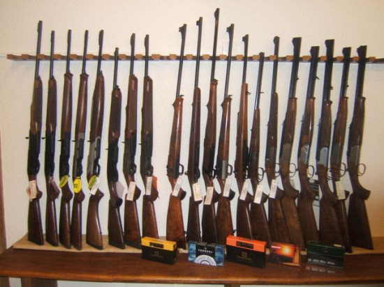 Des tirs à Bron Des tirs à Bron