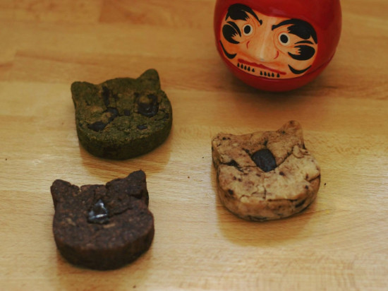 Bientôt un bar à chats solidaire et végétalien à Lyon !