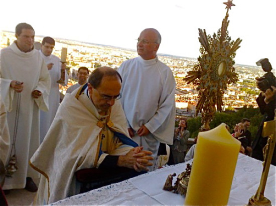Affluence record pour la Fête du diocèse à Lyon