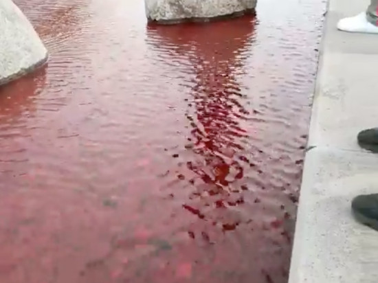 Lyon : un liquide rouge jeté dans les Berges du Rhône lors d’un hommage à Steve Maia Caniço