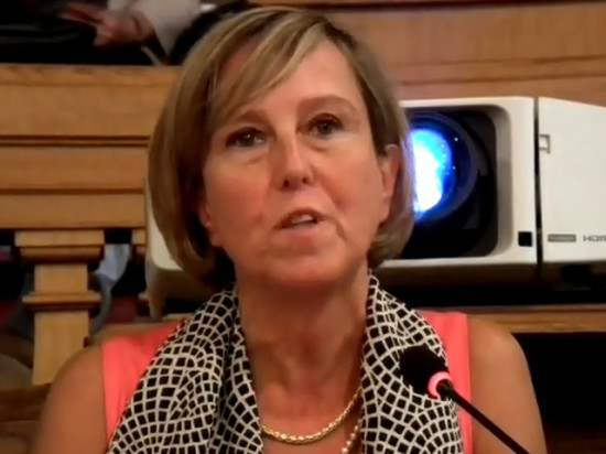 Municipales à Lyon : de Havard à Collomb, Blandine Reynaud prête à franchir le pas ?