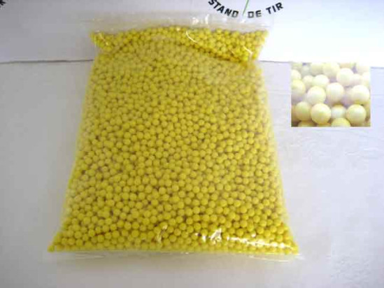 5 adolescents interpellés pour avoir tiré au pistolet à billes dans une école lyonnaise