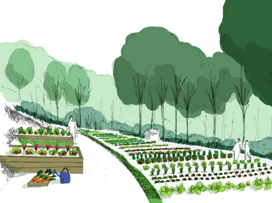 Limonest : quand le potager s’invite dans les bureaux