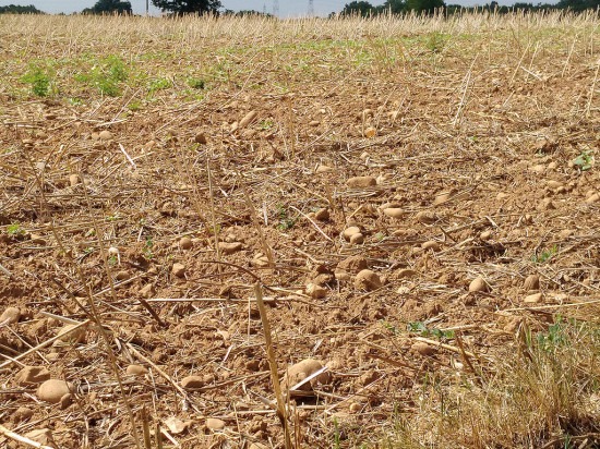 Le Val de Saône et l'Est lyonnais en alerte sécheresse renforcée
