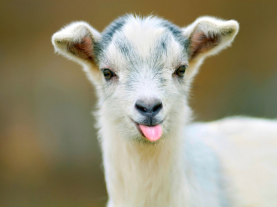 Que faire à Lyon ce week-end du 29, 30 septembre & 1er octobre 2017 ?