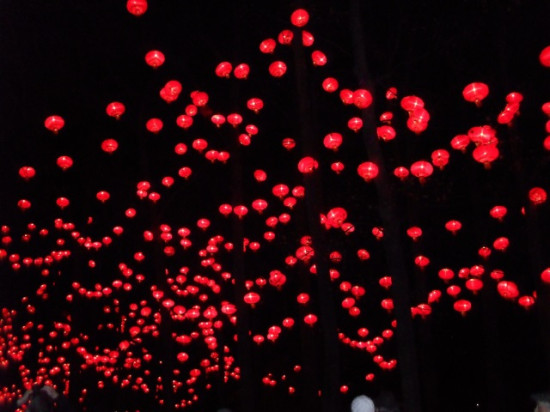 Fête des Lumières : les incontournables de l’édition 2013 !