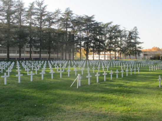 Villeurbanne : un automobiliste ivre interpellé en plein rodéo nocturne dans le cimetière militaire