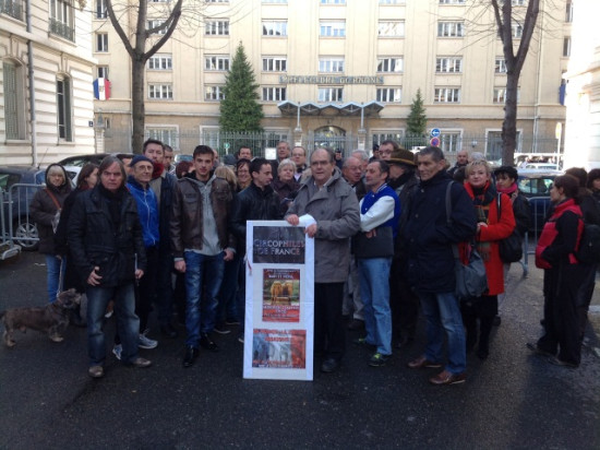 Eléphants de Lyon : les circophiles face au silence de la préfecture