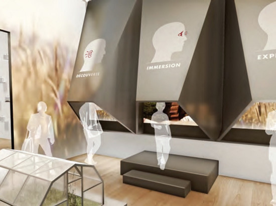 Mécénat pour la Cité de la Gastronomie de Lyon : Collomb reprend la main