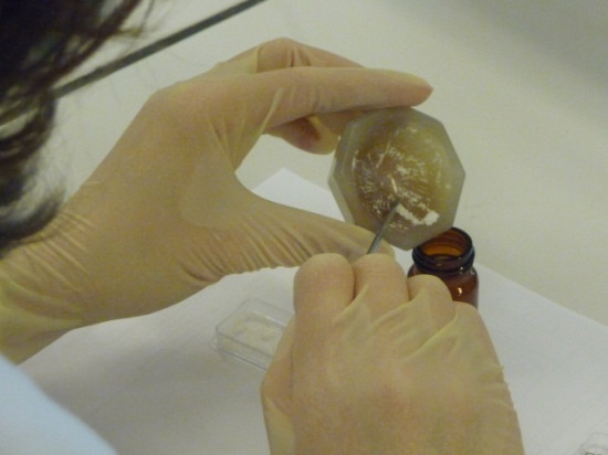 Un trafic de cannabis démantelé dans le Beaujolais