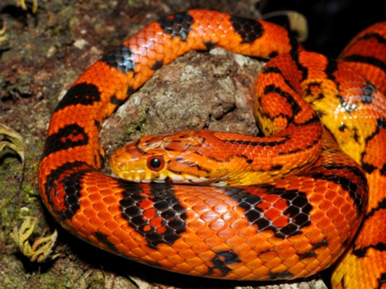 Ce que vous avez (peut-être) manqué de l'actualité en août à Lyon