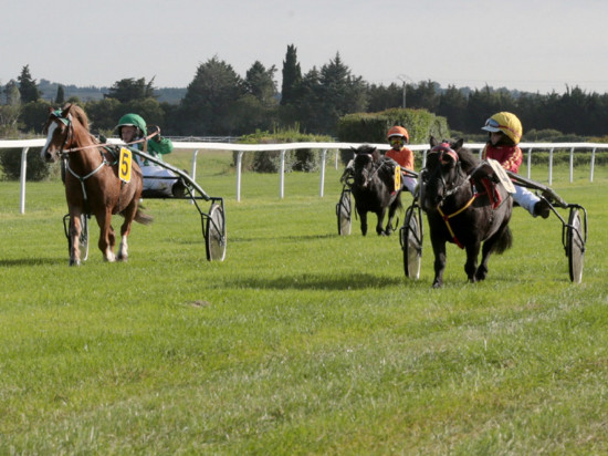 Après les courses en dromadaires, les hippodromes de Lyon accueillent le trot à poney