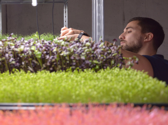 La Tige, une ferme en plein centre-ville de Lyon