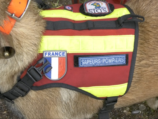 À la rencontre des chiens pompiers de Meyzieu - VIDEO