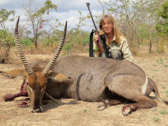 Bad buzz après un safari-chasse : les Alboud quittent le Super U de l’Arbresle