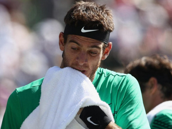 Juan Martin Del Potro participera à l’Open Parc Auvergne-Rhône-Alpes !