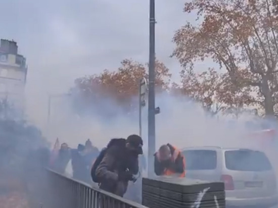 Lyon : 2000 manifestants pour la "Marche des libertés", sept personnes interpellées