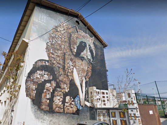 Lyon : une pétition pour conserver la fresque du raton laveur de Montchat Lyon : une pétition pour conserver la fresque du raton laveur de Montchat