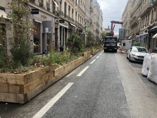 Déconfinement : les jardinières de la rue Edouard-Herriot vont être retirées !