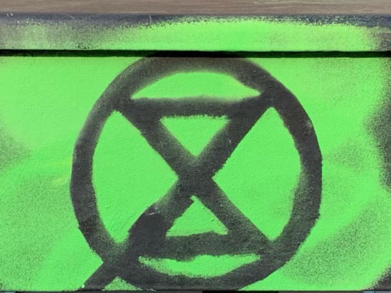 Lyon : des manifestants écologistes du mouvement "Extinction rebellion" ont bloqué le pont Wilson