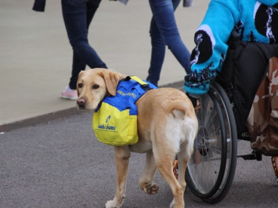 Le futur quartier de la Part-Dieu à Lyon inadapté aux personnes handicapées selon les associations