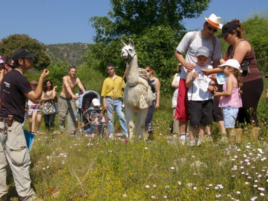Que faire ce week-end des 8, 9 et 10 mai à Lyon?