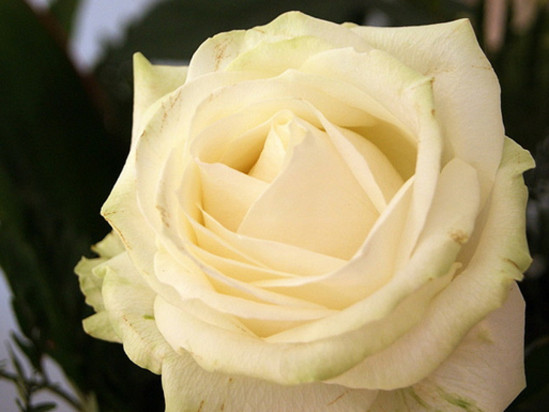 Drame familial à Limonest : un hommage ce mercredi à Allyah et Lina