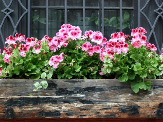 Que faire à Lyon ce week-end du 27, 28 & 29 avril 2018 ?