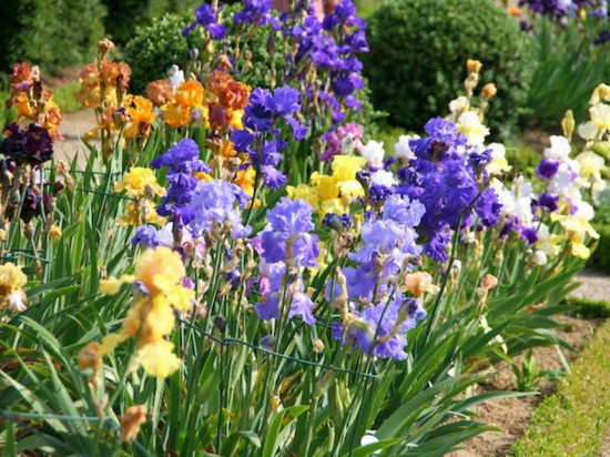 Que faire à Lyon pour ce week-end de Pentecôte 2018 ?