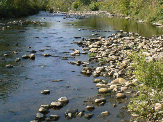 Les cours d’eau du Rhône "en situation d’alerte renforcée sécheresse"
